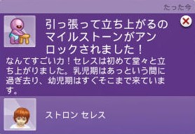 20241108195637-admin.jpg