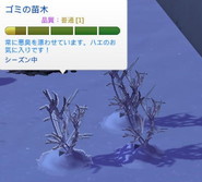 20241110090523-admin.jpg