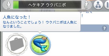 20241205200411-admin.jpg
