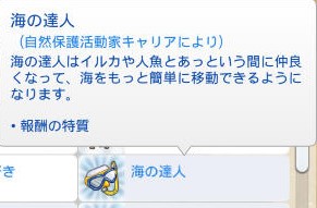 20241212072114-admin.jpg