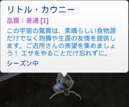 20241227090230-admin.jpg