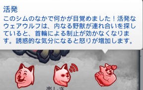 20250102192907-admin.jpg