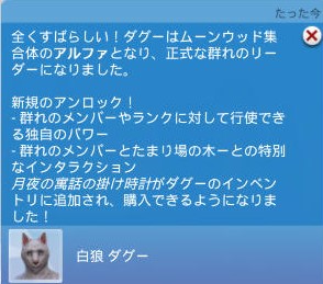 20250104224256-admin.jpg