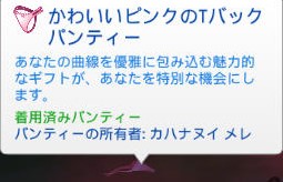 20250109191518-admin.jpg