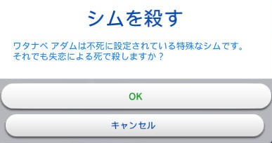 20250115143354-admin.jpg