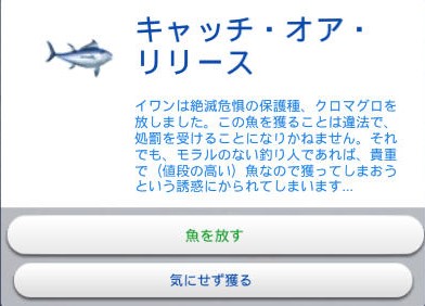 20250115212748-admin.jpg