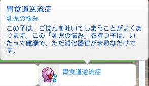20250116233723-admin.jpg