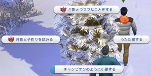 20250125193009-admin.jpg