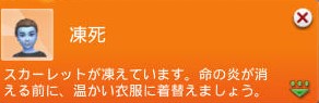 202501280707582-admin.jpg