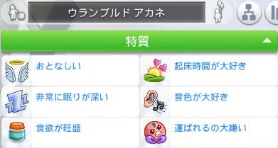 20250129075903-admin.jpg