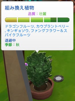 20250130172905-admin.jpg