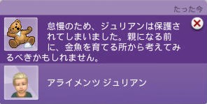 20250131192612-admin.jpg