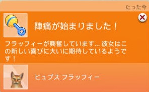 20250226210630-admin.jpg