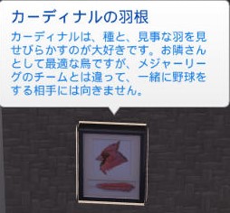 20250311230211-admin.jpg