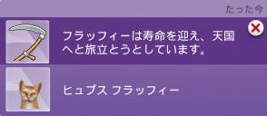 20250312134451-admin.jpg