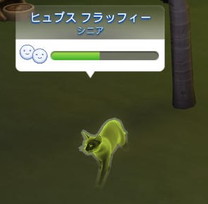 20250313190932-admin.jpg