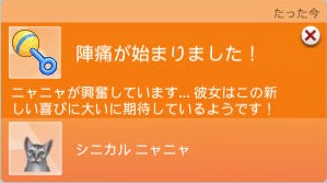 20250313191013-admin.jpg