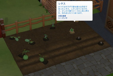 20250504135042-admin.jpg