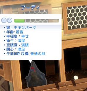 20250504195535-admin.jpg