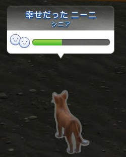 20250505112954-admin.jpg