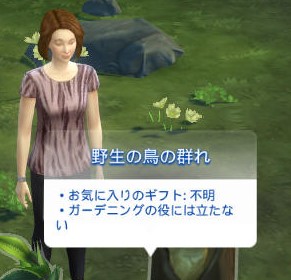 20250509071655-admin.jpg