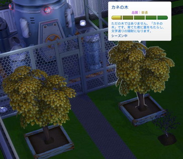 20250518181121-admin.jpg