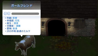 20250525191818-admin.jpg