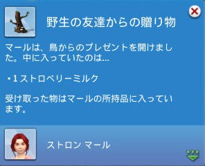20250601200934-admin.jpg