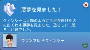20250724073217-admin.jpg