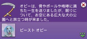 20250731193337-admin.jpg