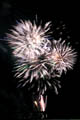 hanabi20_thn.jpg