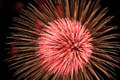 hanabi8_thn.jpg