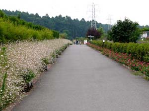 kobutizawa_park1.jpg