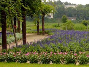 kobutizawa_park2.jpg