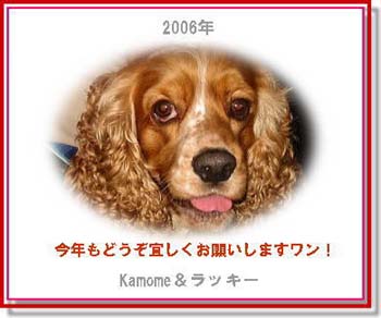nenga_kamome.jpg