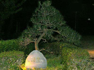 izu-matu.jpg